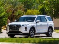 Hyundai Palisade <span></span>